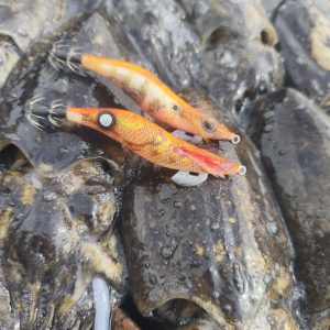 Potera Kanji Clicks Prospec 3.0